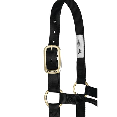 Weaver Leather Original Non-Adjustable Nylon Horse Halter, Small, Black
