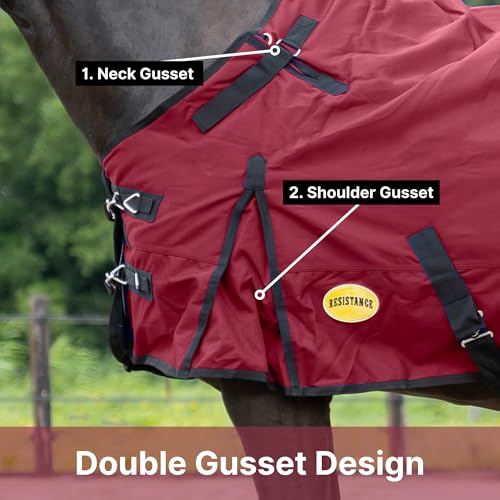 RESISTANCE Premium 1680D Waterproof Horse Turnout Blanket with 300g Polyfill & Adjustable Buckle Closure - color: Brick Red, size: 68"
