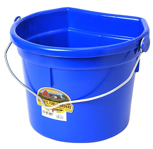 Little Giant® Plastic Animal Feed Bucket | Flat Back Feed Bucket with Knob Ball & Metal Handle | Made in USA | 22 Quarts | Blue - color: Blue
