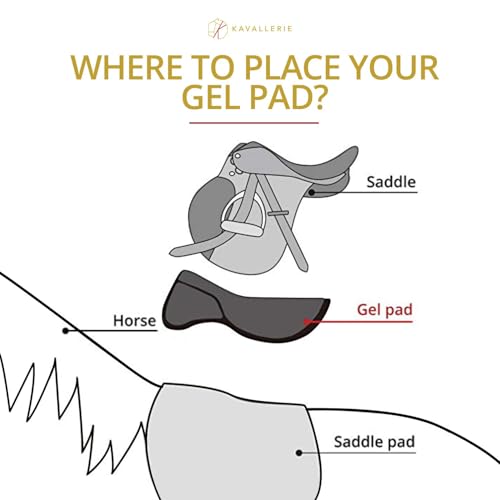 Gel Saddle Pad - Helps with Saddle Bridging, Sore Back, Swayed Back, High Withers English Bareback Pad for Horses, Protective, Perfect for Eventing, Schooling, Dressage - size: Basic Riser