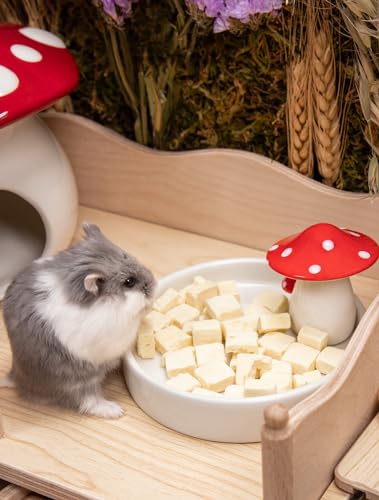 Niteangel Hamster Feeding & Food Bowls: Mushroom Ceramics & Chew-Resistant - size: Feeding Bowl
