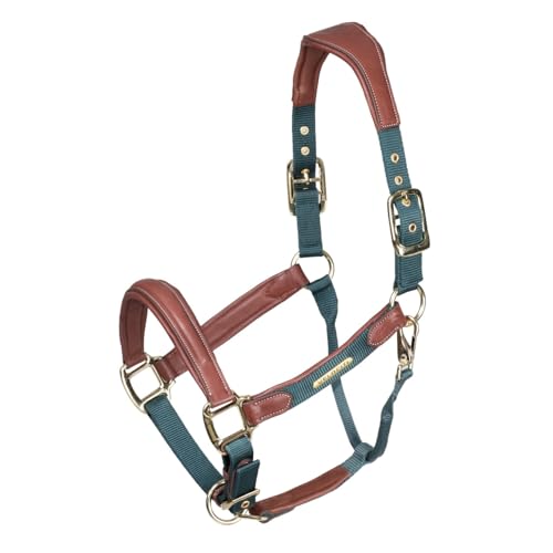 Shires Velociti Lusso Padded Halter - Leather Breakaway - color: Green, size: Pony