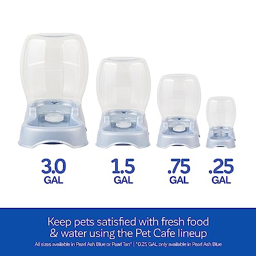Petmate Pet Cafe Water Dispenser, XS, 0.25 GAL, Pearl Ash Blue, 7.3in - color: Pearl Ash Blue, size: 0.25 GAL