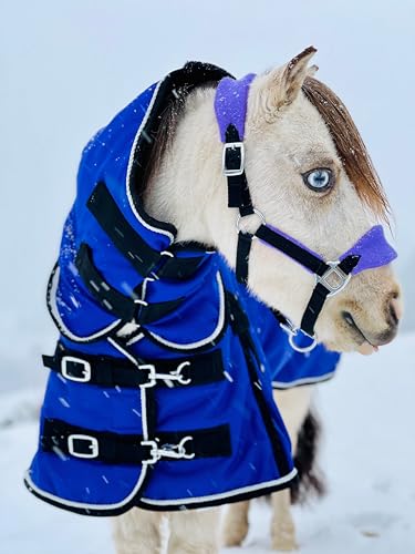 Mini-Pony Horse Ripstop Waterproof Windproof Blanket Hooded Lightweight Turnout Rain Sheet Breathable Lining 1200 Denier Material 350 Fill (46-48", Raspberry) - color: Raspberry, size: 46-48"