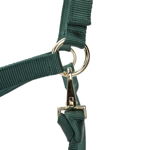 Shires ARMA Adjustable Nylon Halter - color: Hunter, size: Cob