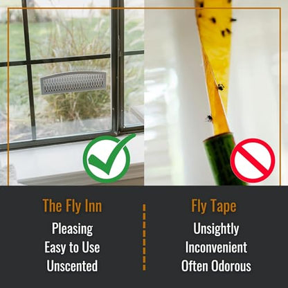 Dr. Killigan's Sticky Window Fly Traps Indoor, 2 Traps + 4 Inserts