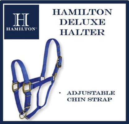 Hamilton Deluxe Adjustable Horse Halter, 100-200 lbs, Blue - color: Blue, size: Foal, 100-200lbs