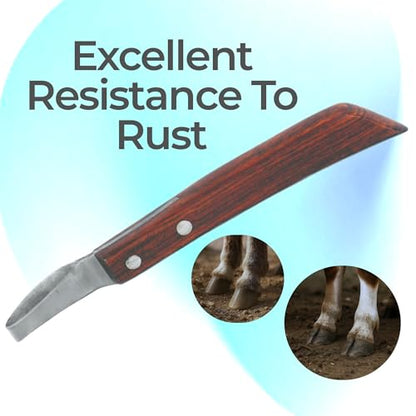 7 Inch Swiss Hoof Knife Double Edged – Stainless Steel Curved Blade Farrier Tool with Round Wooden Grip, Multipurpose Hoof Trimming Knife for Livestock. - style: Long Oval Hoof Knife