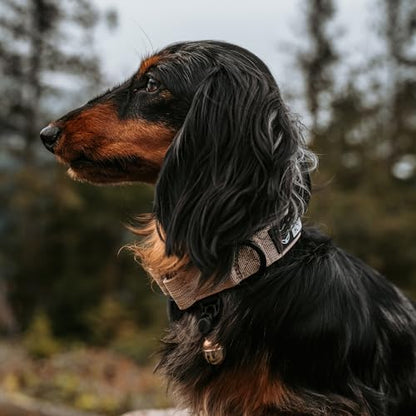 Beau's Bells V2 | Cat & Dog Collar Bells with New Quick Loop Easy Release Clip | Handmade Copper | Track Your Pet | Protect Wildlife - size: Small
