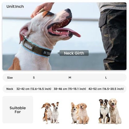 EXCELLENT ELITE SPANKER Tactical Nylon Padded Medium Dog Collar Adjustable - color: Ranger Green, size: S-(13.2"-17.5")