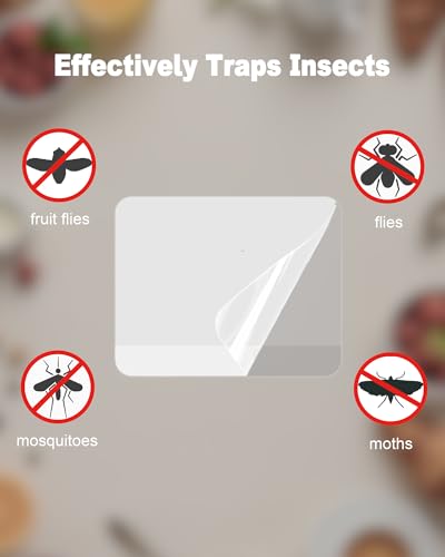 Dichroma 40 Pack Refill Glue Boards Compatible with LFSYS Fruit Fly Traps