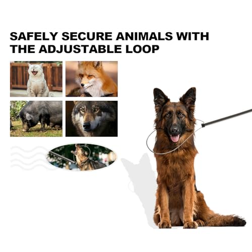 92" Animal Catch Pole Wildlife Control Tool Noose Holder Net Kit