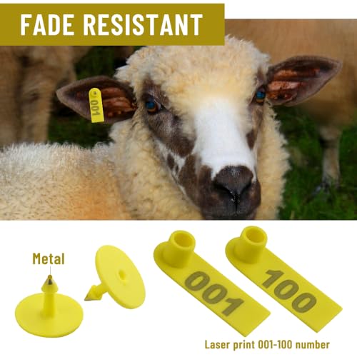 WMYCONGCONG 400 PCS 1-100 Plastic Livestock Ear Tag Animal Tag for Goat Sheep Pig, Blue Yellow Orange Green