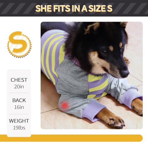 FUAMEY Dog Recovery Sleeve with Elbow Protector Purple Stripes S | Dog Shirt Stop Licking Joints, Long Sleeve Suit, Protecting Front Leg Arm, Wounds Cover Skin Conditions,Alternative to Cone - color: Purple Stripes, size: S(Weight:20-28lbs)