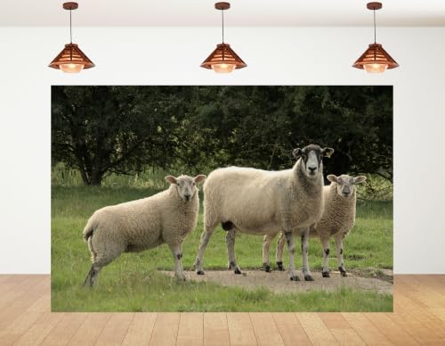 5x3ft Fabric Three Wool Sheep Backdrop White Fluffy Sheep Dark Leaf Tree Green Pasture Rural Farm Photography Background Tapestry Farm Animal Decor Photo Booth Props - size: 5x3ft