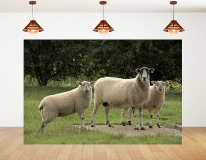 8x6ft Fabric Three Wool Sheep Backdrop White Fluffy Sheep Dark Leaf Tree Green Pasture Rural Farm Photography Background Tapestry Farm Animal Decor Photo Booth Props - size: 8x6ft