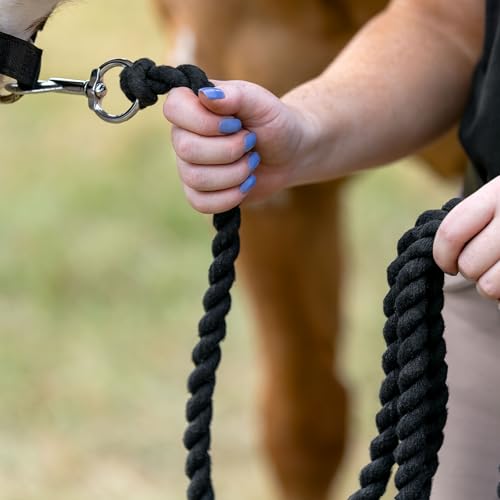 HORZE Basic Cotton Lead Rope - 12ft - Black - One Size