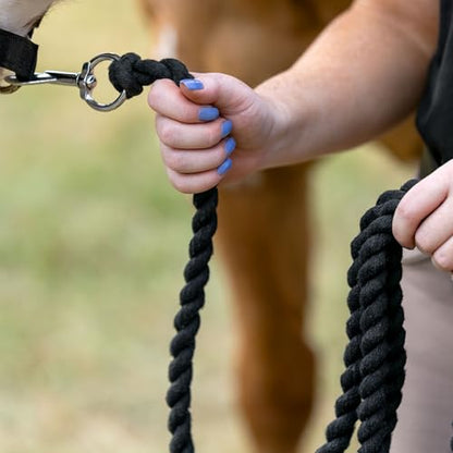 HORZE Basic Cotton Lead Rope - 12ft - Black - One Size