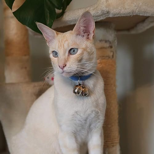 Beau's Bells 2 Extra Loud Cat & Dog Bells | Pet Tracker | Save Birds & Wildlife | Luxury Handmade Copper (Small) - size: Small