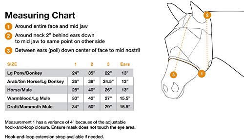 CASHEL QR Mule Yearling Long Ear (QRMYLE) - color: Yearling, size: Yearling/Large Pony