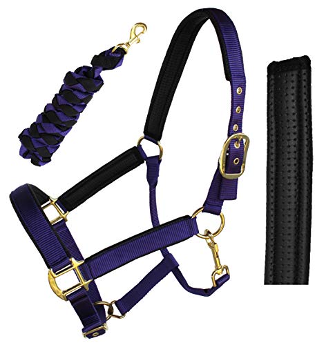 Nylon Horse Neoprene Padded Halter Brass Hardware Horse Tack Equine 606173 - color: Purple