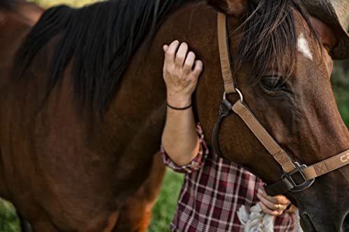 Carhartt Nylon Duck Horse Halter, Comfortable, Durable & Adjustable Rolled-Throat Horse Halter, Small