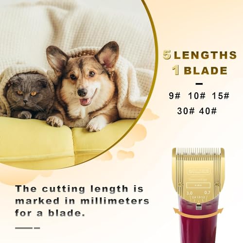 Adjustable 5 in 1 Blades Dog Grooming Blades Compatible with Wahl | For Clipper Arco, Compatible with Bravura, Chromado, Creativa, Compatible with Figura and Motion,Gold,3-Pack - color: GOLD/3PCS