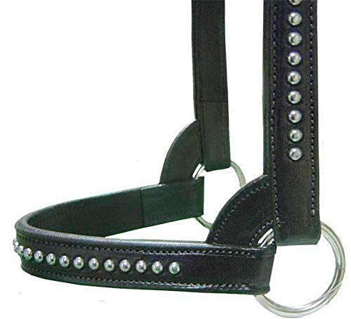 Derby Originals New and Improved Premium Show Spotted Flat Leather Cattle Show Halter with Matching Chain Lead - color: Black, size: Large (950lbs-1500lbs)