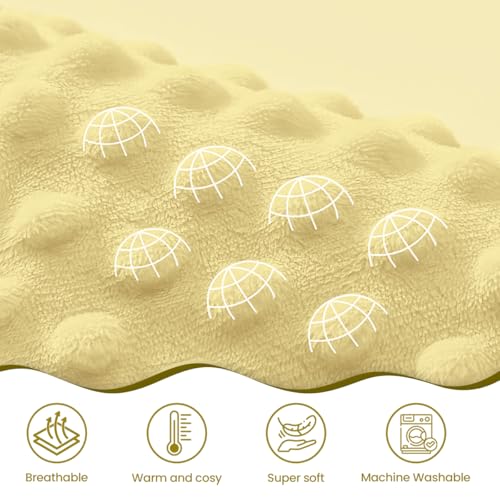 SANDJEST Bee Minky Blanket 30 x 40 Inches, Gift for Christmas Birthday - color: Bee
