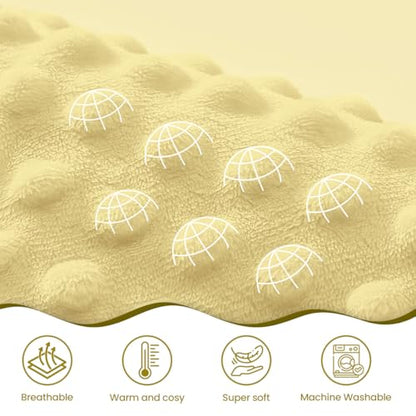 SANDJEST Bee Minky Blanket 30 x 40 Inches, Gift for Christmas Birthday - color: Bee