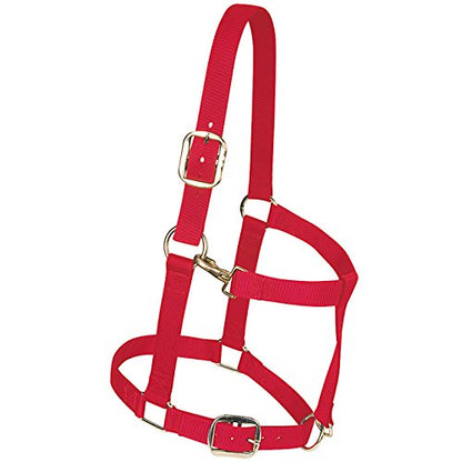 Weaver Leather Nylon Adjustable Draft Horse Halter