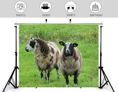 8x8ft Fabric Spotted Farm Sheep Backdrop Two Brown White Wool Sheep Lush Bright Green Meadow Grass Background Party Farm Animal Decorations Tapestry Photo Booth Props - size: 8x8ft