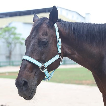 Adjustable Horse Halters - Heavy Duty Nylon Webbing & Hardware, Padded with Anti Chafing Foam-Cushioned on Crown & Nose - color: Light Blue, size: Full
