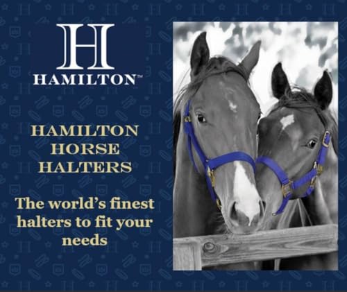 Hamilton Deluxe Horse Halter, 500-800 lbs, Berry Blue - color: Berry Blue, size: Small, 500-800lbs