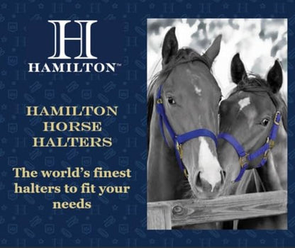 Hamilton Quality Adjustable Horse Halter, 100-200 lbs, Blue - color: Blue, size: Pony, 100-200lbs