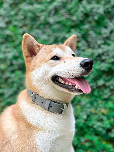Tuff Pupper Heavy Duty Waterproof Dog Collar for Small, Medium & Large Dogs - color: Cool Gray