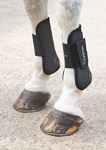Shires ARMA Tendon Boot | Open front anatomic shell neoprene double touch-close stretch inserts, lightweight quick-dry pair - color: Black