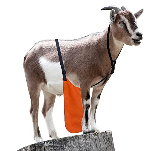 Anti Breeding Buck Apron Anti Mating Skirt with Chest Strap - color: Orange, size: Small