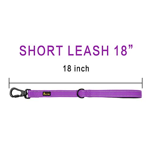 PLUTUS PET Short Training Dog Leash with Padded Handle for Medium Large Big Dogs,18 Inch Heavy Duty Strong Traffic Leash with Carabiner Clip for Climbing Walking or Guiding Blind (18",Purple) | Reflective, Heavy Duty Strong Nylon, Traffic Leash with Carab