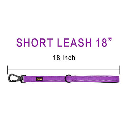 PLUTUS PET Short Training Dog Leash with Padded Handle for Medium Large Big Dogs,18 Inch Heavy Duty Strong Traffic Leash with Carabiner Clip for Climbing Walking or Guiding Blind (18",Purple) | Reflective, Heavy Duty Strong Nylon, Traffic Leash with Carab