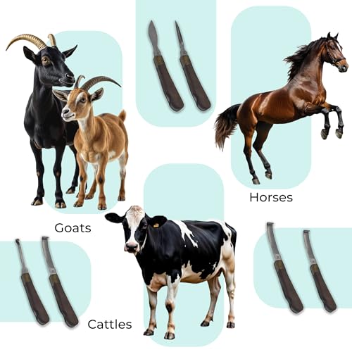 Professional Hoof Knife and Claws Interchangeable Stainless Steel Kit – Hoof Trimming & Cleaning Tools with Ergonomic Handle for Horses, Cattle, Livestock Animal – Set of 6 with Zipper Case