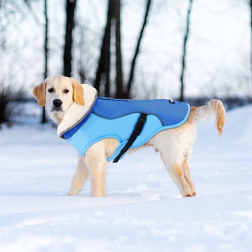 EMUST Dog Jacket, Windproof Polyester, Warm Fleece Lined, Reflective, New Blue, S - color: New Blue, size: Small