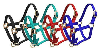 Showman FOAL/MINI Premium Nylon Halter w/Brass Hardware - color: Black