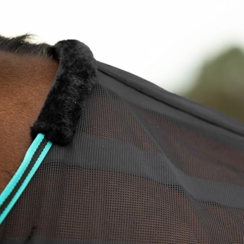 Equinavia Sefyr Breathable Lightweight Cooling Scrim Sheet - Black/Turquoise - S - color: Black/Turquoise, size: S