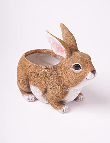 HAUCOZE Rabbit Planter Succulent Pot Animal Statue Modern Decor 8.7 Inch