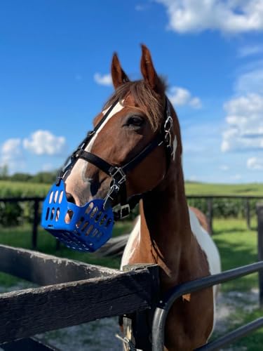 GREENGUARD Premium Breakaway Safety Halter with Padded Nose and Crown