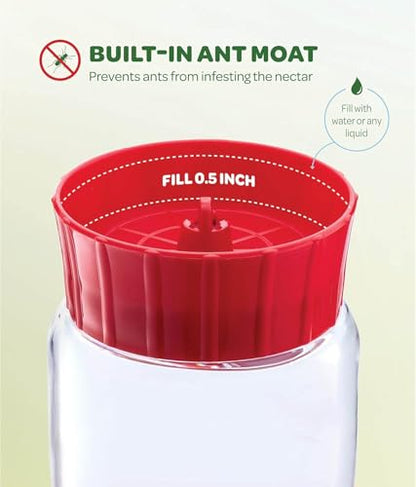 20 oz Red Glass Hummingbird Feeder [2 Pack] with Built-in Ant Guard - size: 20 oz - 2 Pack