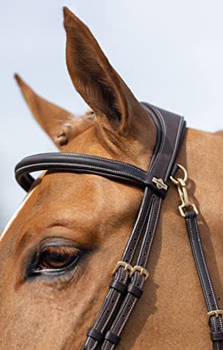 LeMieux Kudos Work Bridle - color: Brown, size: Full