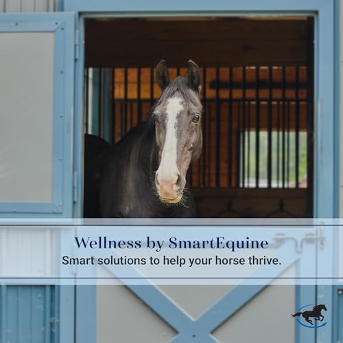 SmartEquine Grain Bag for Horse Feed