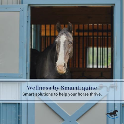 SmartEquine Grain Bag for Horse Feed